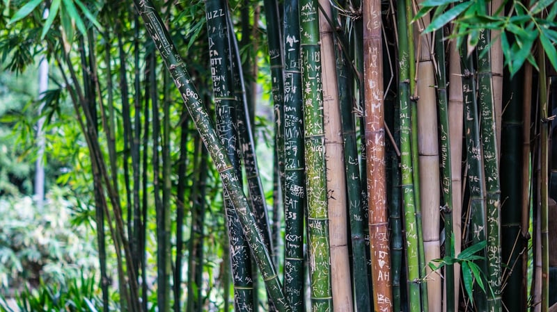 DIY Bamboo Fountain