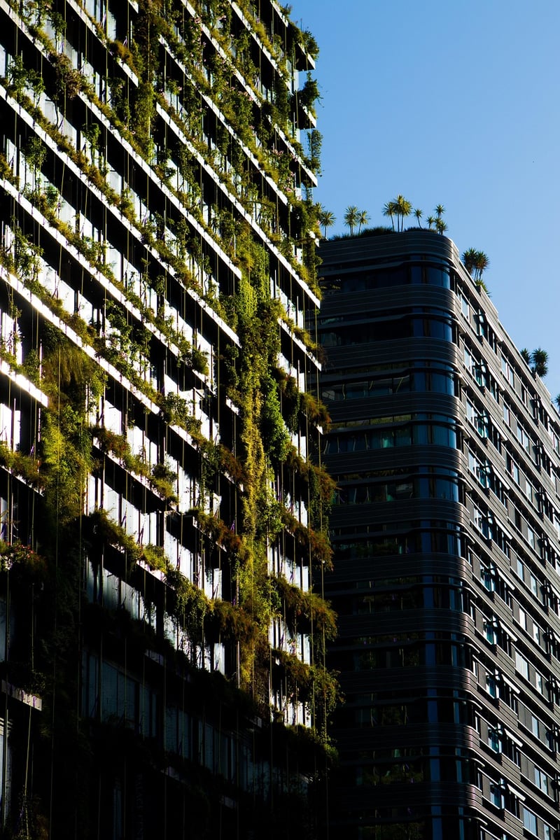 Modern Garden